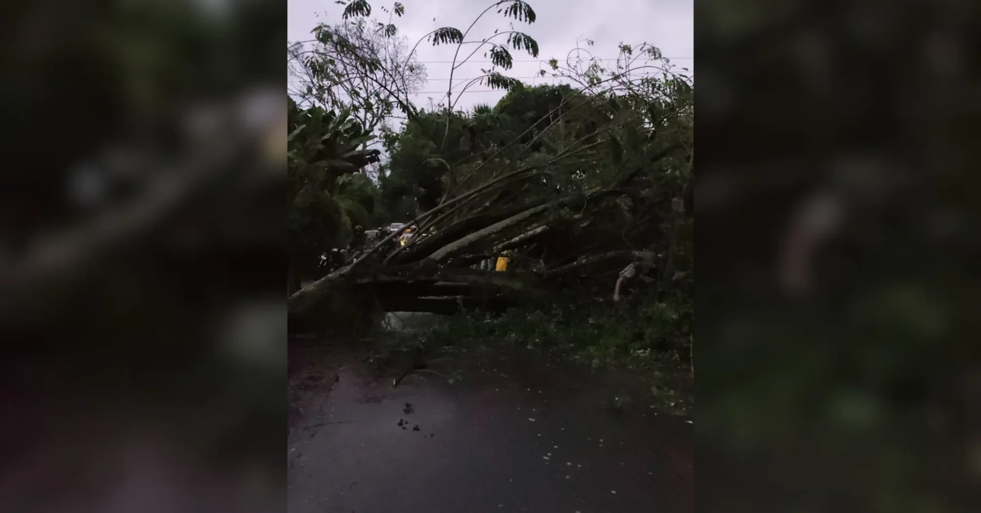 Por intensas lluvias, reportaron emergencias en La Tebaida y Génova