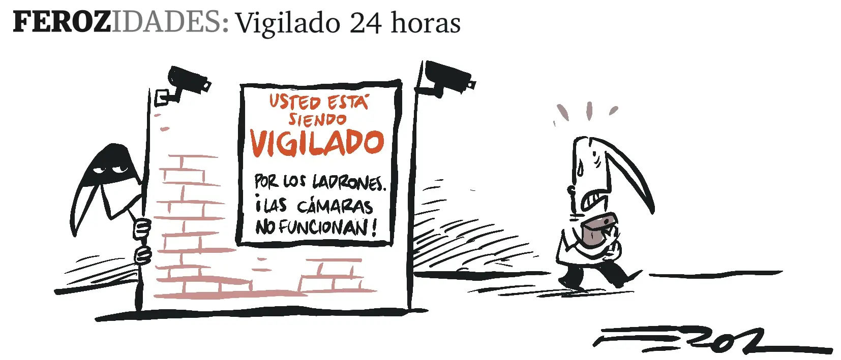 Ferozidades
