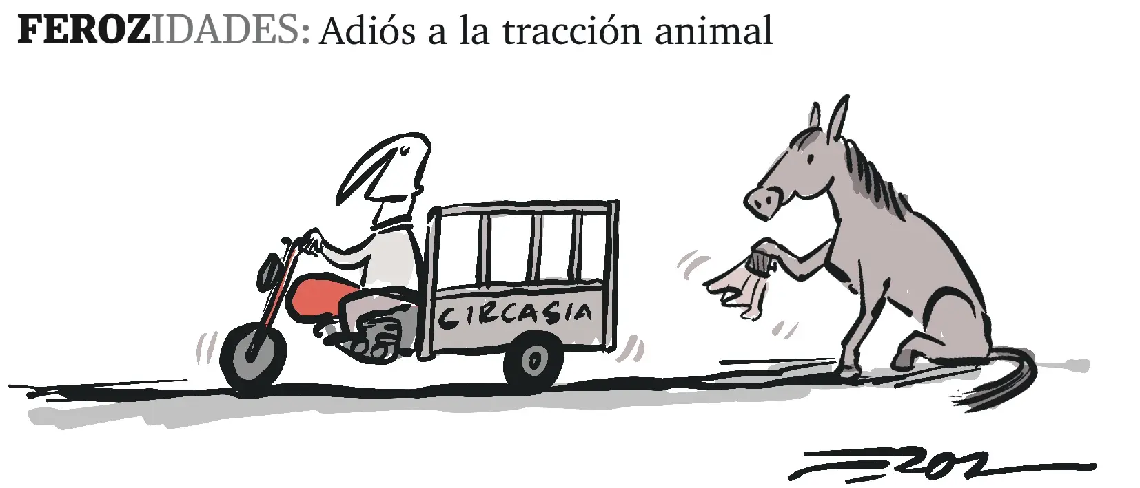 Ferozidades