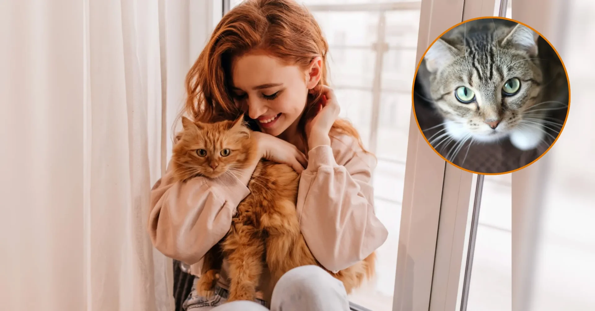 4,5 millones de gatos viviendo en hogares colombianos, de los cuales unos 2,7 millones tienen dueño y el resto son gatos sin hogar o en situación de calle o rescate.