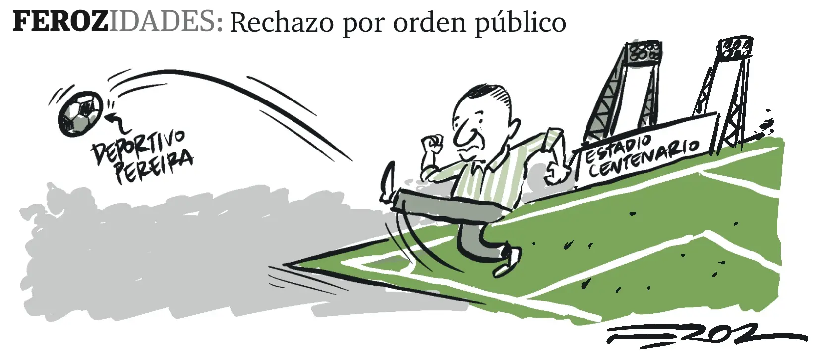 Ferozidades