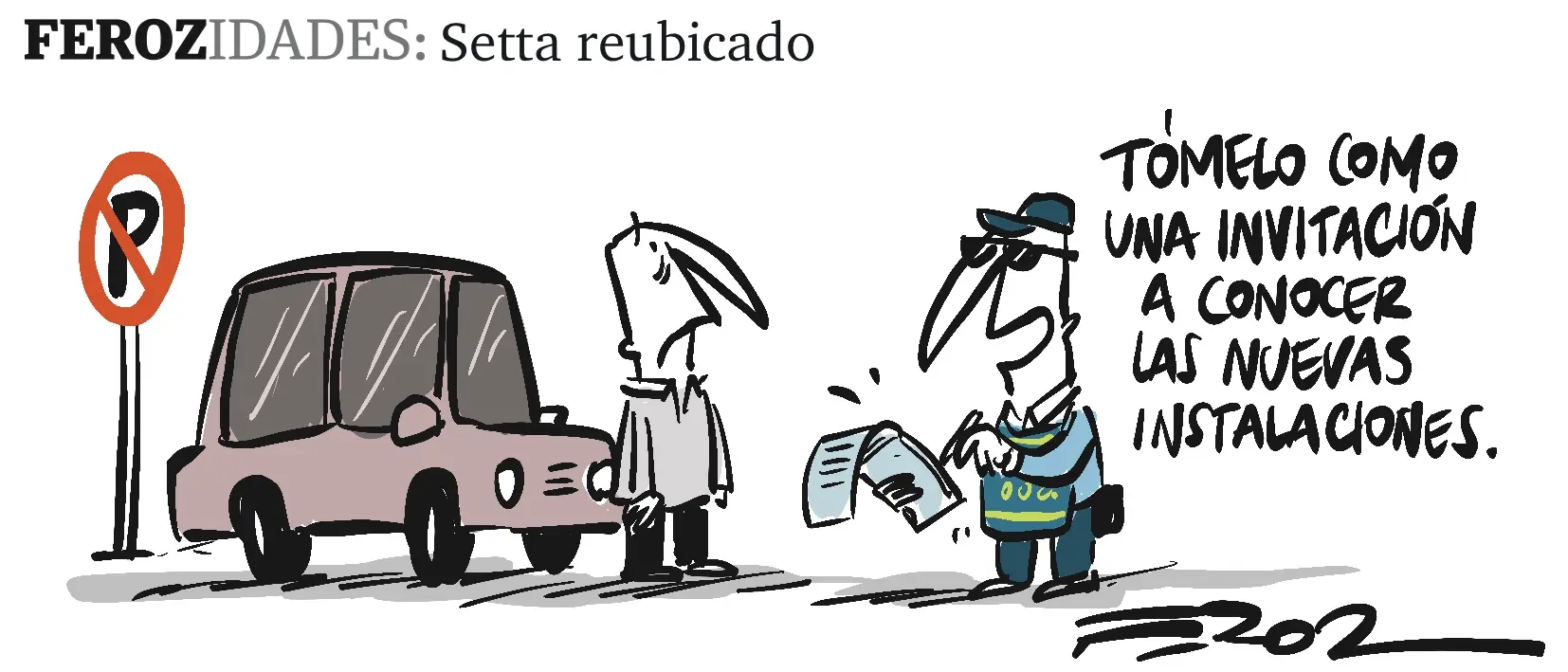 Ferozidades