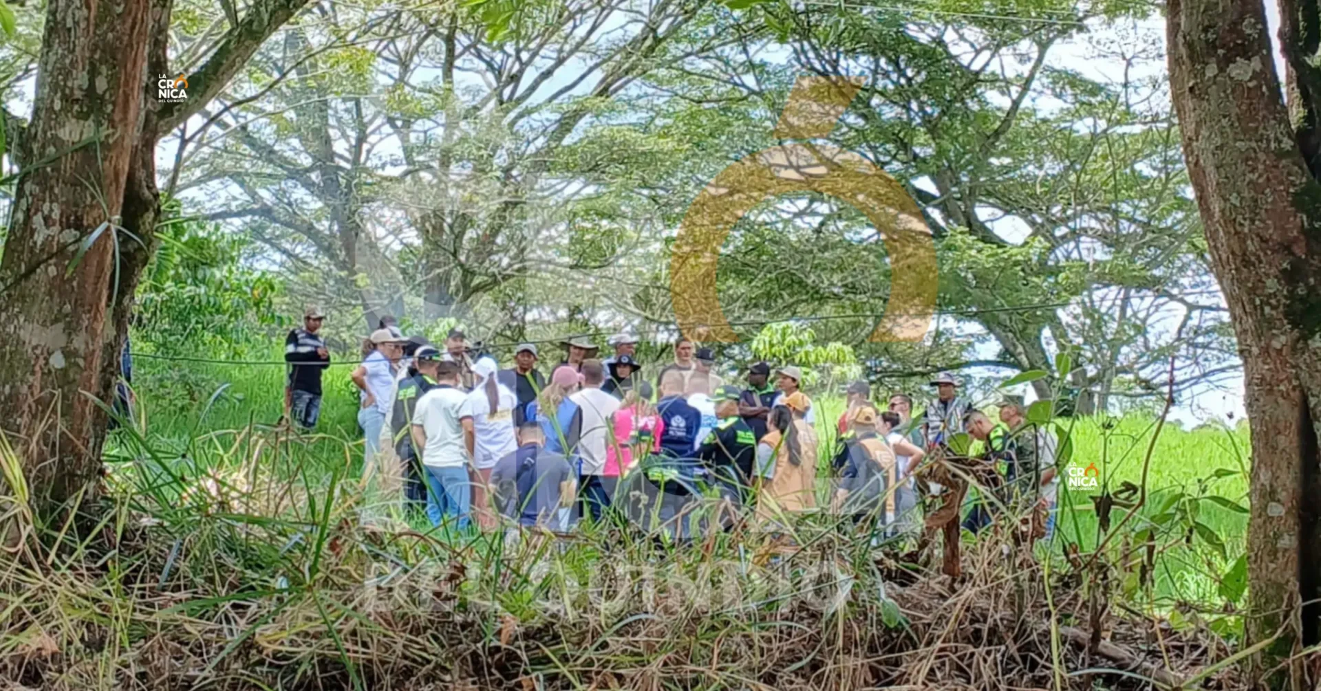 Campesinos del Eje Cafetero y Valle del Cauca Ocupan predio en Quimbaya exigiendo tierras